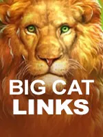 Big Cat Links